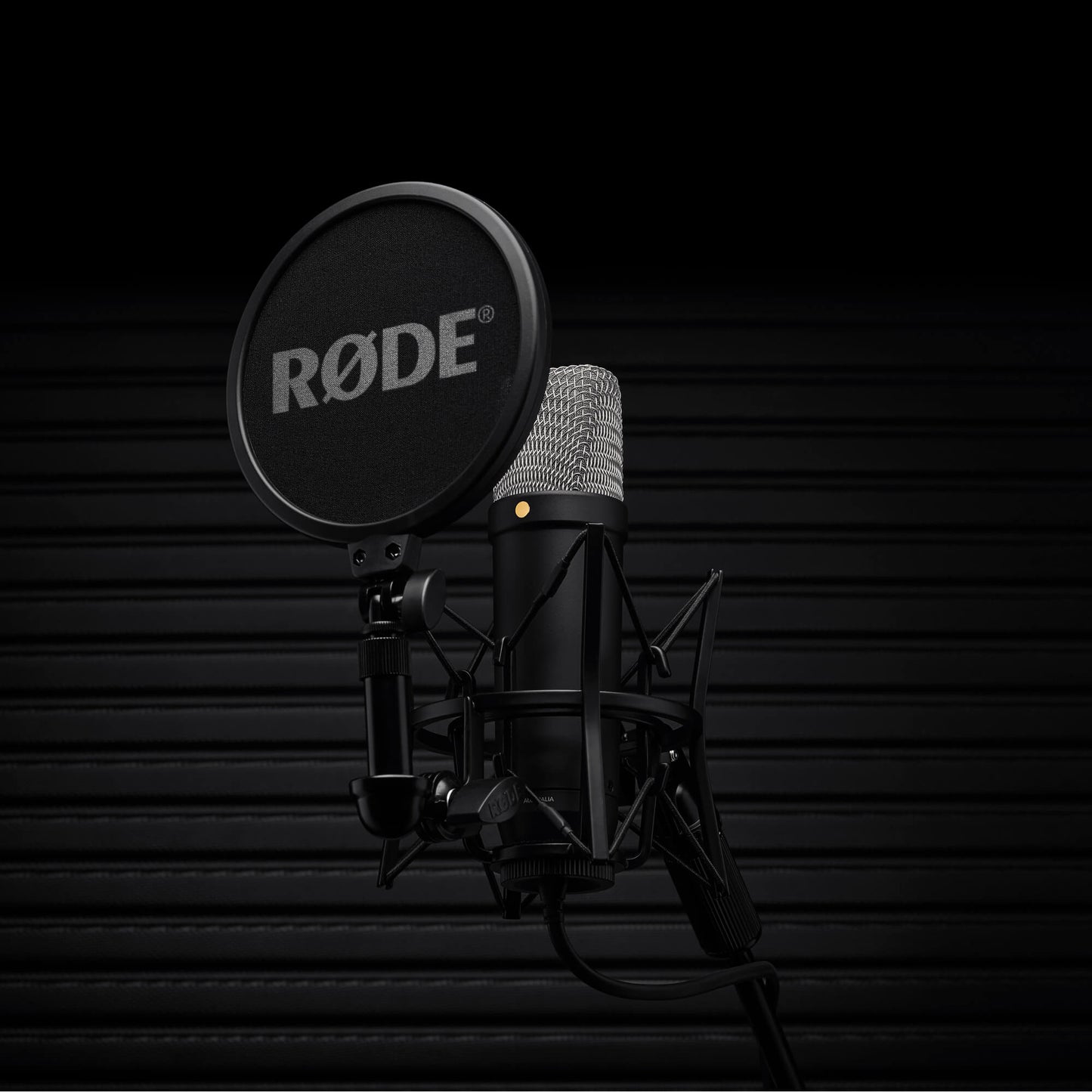 Micrófono de Condensador de Estudio Rode NT1 5ª Generación BLACK