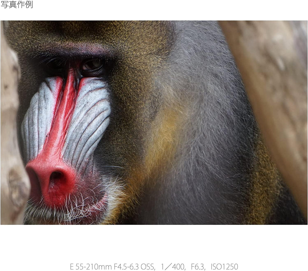 Lente Zoom Sony FE 55-210mm f/4.5-6.3 Oss Para Cámaras SEL55210